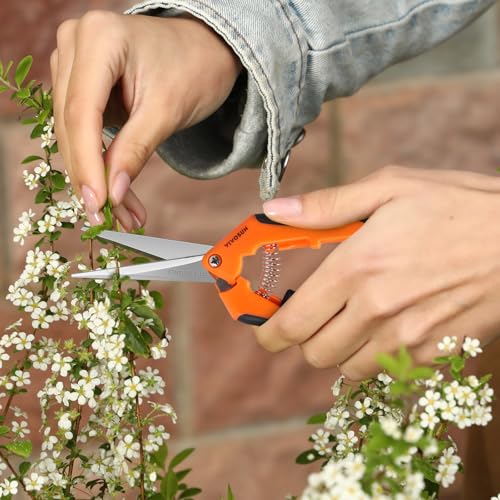 VIVOSUN 6.5 Inch Gardening Scissors Hand Pruner Pruning Shear with Straight Stainless Steel Blades Orange 1-Pack - style: Orange Straight Blade