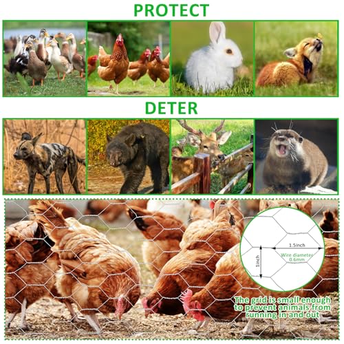 45 in X 100 ft Chicken Wire Fencing Metal Floral Chicken Wire Fence for Crafts 1 Inch Hexagonal Galvanized Poultry Wire Netting for Chicken Coop Barrier Rabbit Cage