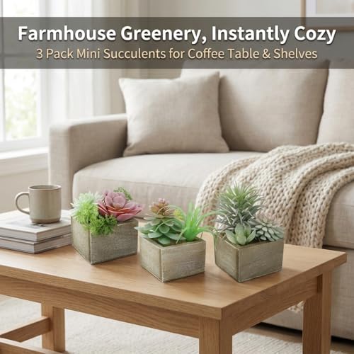 Succulent Plants Artificial, 3 Pack Small Fake Plants in Wood Pot for Home Decor, Farmhouse Artificial Plants Indoor for Living Room Bathroom Bedroom Office Kitchen Desk Wedding Coffee Table Decor - color: Symphony