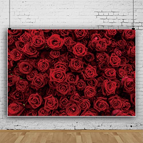 Laeacco Vintage Red Rose Flower Wall Backdrop 8x6ft Romantic Floral Flowers Photography Background Valentine Mother's Day Bridal Shower Wedding Happy Anniversary Party Decor Wallpaper Photo Studio - size: 8x6ft