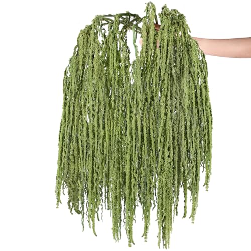 Suncalla 12 Pcs Bright Green Spring Natural Dried Amaranthus Hanging Flowers Amaranthus Artificial Flowers for Wedding Arch Bouquet Floral Garland Wall Home Decoration (23 Inch) - color: Bright Green