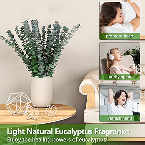 Real Dried Eucalyptus Stems, 20PCS Preserved Eucalyptus Plant 17inch Fresh Eucalyptus Greenery Plant for Vase Home Shower Wedding Festival Home Decoration - color: Green, size: 20Pcs Eucalyptus Stems