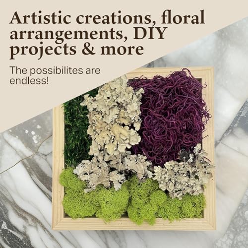Quality Growers - The Moss Collection Variety Pack - Natural Decorative Moss - Crafts, Home Decor, Art, Design & DIY Projects - Non-Toxic - Made in USA - Red Mix, Small, 2-Pack - color: Red Mix, size: Small (2-Pack)