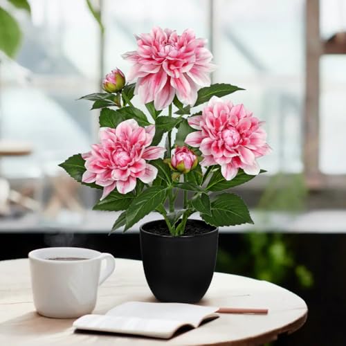 GnFlus Artificial Plants & Flowers in Pot Pink Dahlia Artificial Flowers Potted Plant Faux Silk Flower with Pot Fake Flower for Home Bathroom Table Centerpieces Wedding Shelf Desk Decor 16.5 Inch - color: Pink-16.5