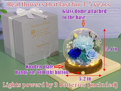 Valley of Rain & Forest Long-Lasting Real Flowers, Unique Floral Gift For You to Send Love for All Occasions, for Indoor Decoration (Light Blue Carnation, Blue Rose, Light Blue Rose) - color: Light Blue Carnation, Blue Rose, Light Blue Rose