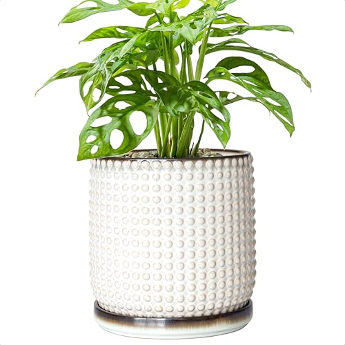 D'vine Dev 6 Inch Ceramic Beaded Stoneware Planter Pot - Flower Pot with Drainage Holes and Saucers for Indoor Succulent Plants or Flowers, Smoked White, 27-C-X-1 - color: Smoked White, size: 5.8 Inch