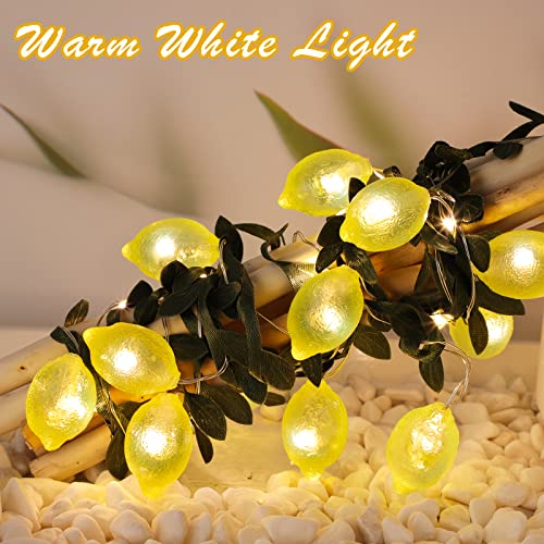 3D Lemon LED String Lights USB/Battery Operated Light String with Remote Timer 10FT 40LEDs Lemon Light Bulbs with Branches Leaves Fairy Lights for Bedroom Birthday Garden Party Decorations - style: Lemon