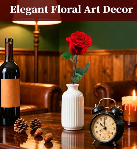 Preserved Flowers for Delivery,Red Rose Bouquets That Last 5 Years,Birthday Flowers Gifts for Women Mom Grandma Wife Friends,Mothers Day Roses Gift,Romantic Floral for Anniversary or Valentine’s Day - color: Red, size: Single Rose