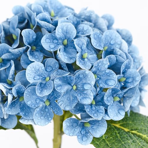 Coferset Blue Hydrangea Artificial Flowers, 20 inch Lifelike Real Touch Faux Hydrangea Flower for Home Wedding Office Party Living Room Decoration (Baby Blue) - color: Baby Blue