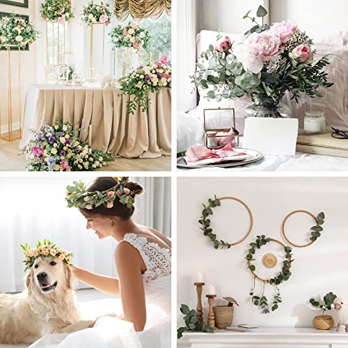 Janinka Mixed Eucalyptus Leaves Stems Bulk with White Seeds Artificial Silver Dollar Leaves Sprays Faux Oval for Wreath Garland Floral Bouquets Arrangement Wedding Greenery Decoration(60 Pcs)