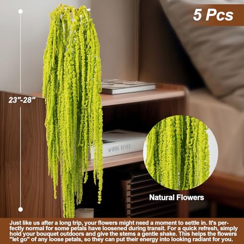 5Pcs Dried Amaranthus Hanging Flowers, 23" Neon Lime Green Preserved Wisteria for Wedding Arch, Fall Thanksgiving, Table Centerpiece, Wall Hanging Lover Tears, Floral Arrangement, Farmhouse Décor