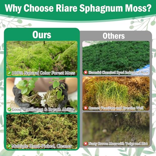Riare 2.8LBS Premium Sphagnum Moss for Plants- 55QT Natural Dried Plant Moss for Potted Plants, Orchid Moss for Repotting, Soft Green Decorative Moss for Succulents, Reptiles & DIY Crafts - color: 55 QT(Appx.2.8lbs)