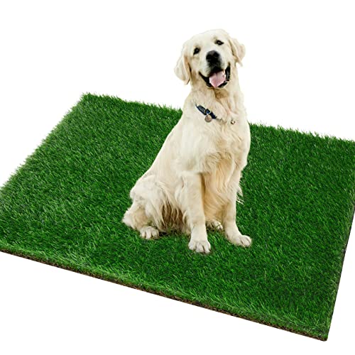 Grass Pad for Dogs 51.2 x 31.5 inches - Fast-Drain Soft Artificial Grass for Pets Potty Training - Easy to Clean - for Dog Indoor Outdoor Use (1 Pack) - size: 51.2x31.5 Inch