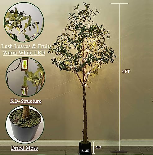 Hairui Lighted Olive Tree with 300 Warm White Fairy Lights 6FT with Dimmer and Timer, Faux Greenery Tree Lights for Indoor Outdoor Home Decoration - style: 6FT-Olive Tree