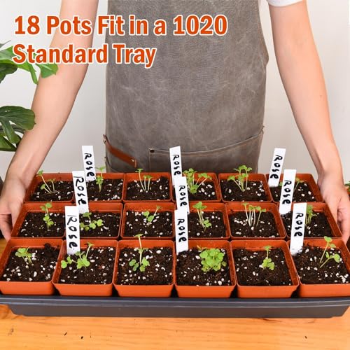 June Fox 100 Pack Red Square Nursery Pots with Drainage Holes 3.3 Inches Flexible Plastic Seedling Pots Square Pots for Plants, Succulent, Flower, with Plant Labels - color: Red