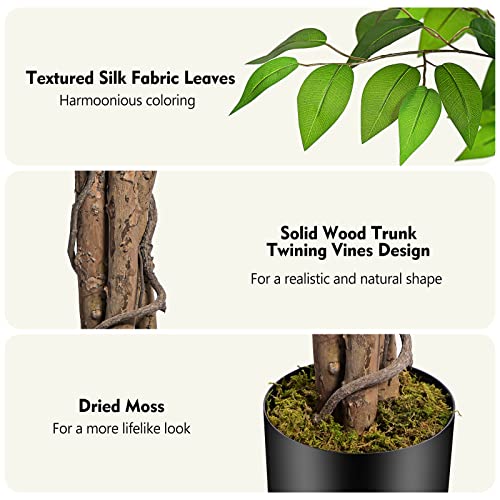 6.2ft Ficus Artificial Trees with 3 Natural Curved Trunks, 74" Tall Lush Faux Tree for Home Decor Indoor, Green Lifelike Fake Ficus Tree Artificial Plants - size: 6ft 2in