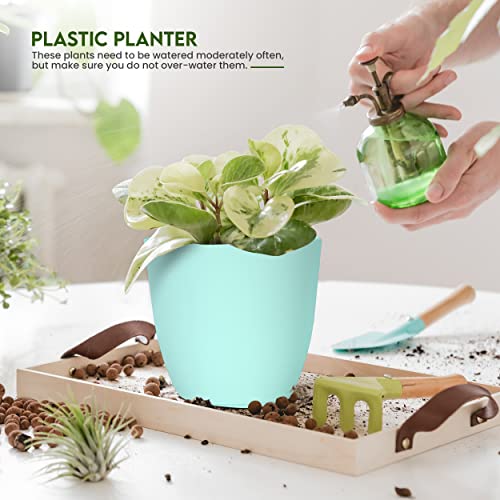 Utopia Home - Plant Pots Indoor with Drainage - 7/6.6/6/5.3/4.8 Inches Flower Pots for Indoor Planter - 5 Pack Plastic Planters - Ideal for Stocking Stuffers or Home Christmas Decorations - Aqua - color: Aqua, size: Pack of 5