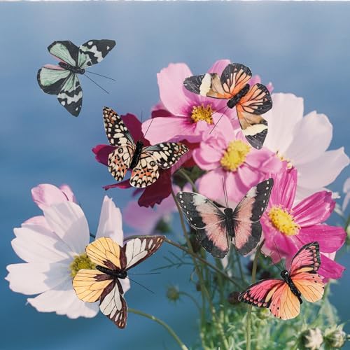 Cartanfill- Artificial Feather Simulation Butterfly Party Decoration Set, a Set of 12 Pieces with Clips, Used for Home Decoration in 12 Colors.… (B Clip) - color: B Clip