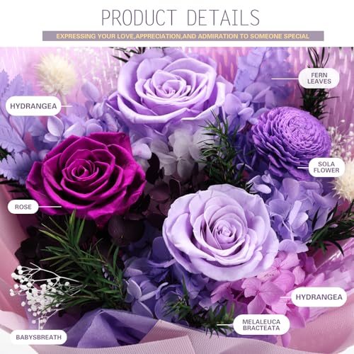 Casaido Preserved Flowers for Delivery, Mothers Day Purple Flower Bouquets with Necklace, Forever Real Roses Anniversary Birthday Valentines Day Christmas Rose Gifts for Women Mom Wife Girlfriend - color: Purple