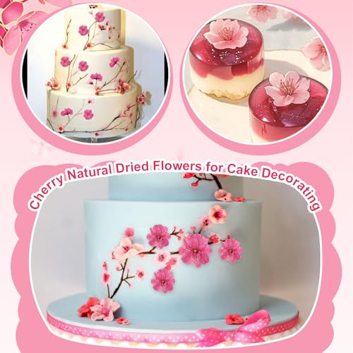 101 PCS Pressed Cherry Blossom for Crafts, Pink Dried Pressed Flowers for Resin DIY Jewelry Making Cake Card Scrapbook Decor, Dried Sakura Flowers for Soap Candle Making - size: Cherry