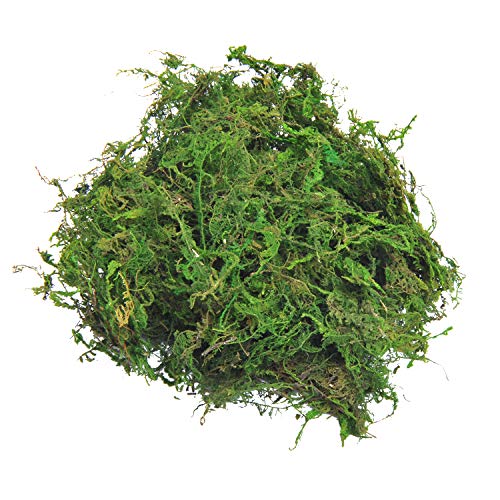 TOPCOMWW Fake Moss for Centerpieces Decor, Aftificial Green Moss for Plant Crafts Flower, 3.5oz - color: Green - 3.5oz