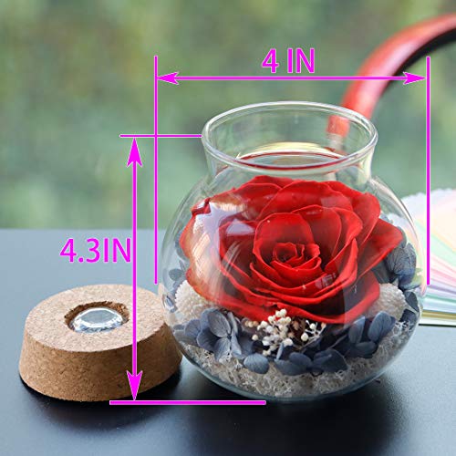 Preserved Real Roses with Colorful Mood Light Wishing Bottle, Eternal Rose，Never Withered Flowers, Table Decor,Christmas Anniversary Valentine's, Red 4.3inch, 1pcs - color: Red