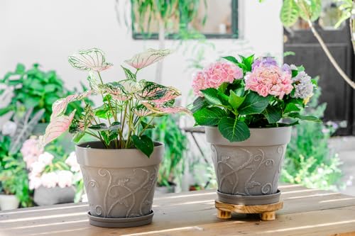 Melphoe Plant Pots Indoor with Drainage & Saucer, 2Pack 10 inch Flower Pots Outdoor Planters for Indoor Plants Garden Home Decor Cactus Succulent, Rigid Plastic (Imitation-Terracotta) Vine-Embossed - color: Cement Grey Color, size: 10''