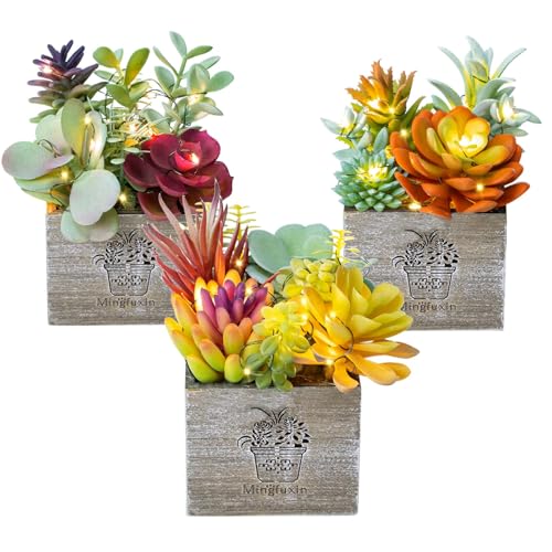 Succulents Plants Artificial, Small Faux Plants with Lights, Assorted Decorative Fake Succulent Potted for Office Desk Bathroom Bedroom Shelves Windows Room Decor - color: Natural Logic