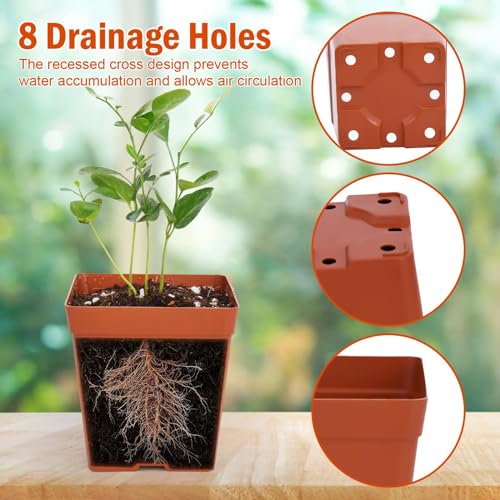 June Fox 100 Pack Red Square Nursery Pots with Drainage Holes 3.3 Inches Flexible Plastic Seedling Pots Square Pots for Plants, Succulent, Flower, with Plant Labels - color: Red