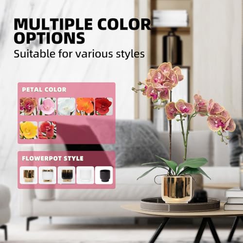 CXGS Orchids Artificial Flowers Real Touch Fake Flowers in Ceramic Pot 20" Purple Dapple Faux Orchid Plant Lifelike Silk Phalaenopsis for Centerpiece Hotel Home Indoor Decor - color: Purple Dapple- Gold Vase
