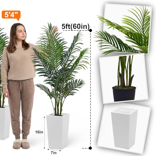 Aveyas 5ft Artificial Palm Tree for Home Decor,5 Feet Faux Plant Fake Silk Tropical Kentia Areca Trees for Indoor Outdoor House Living Room Office Porch Garden(5 ft Tall with Raised Pot)-Set of 2 Pack - color: Palm Tree - 2 Pack (5ft)