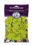 Super Moss (21708) Reindeer Moss Preserved, Chartreuse, Appx. 2 Ounce - color: Chartreuse, size: 2 Ounce