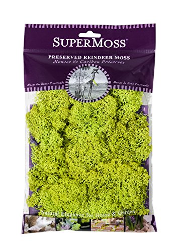 Super Moss (21708) Reindeer Moss Preserved, Chartreuse, Appx. 2 Ounce - color: Chartreuse, size: 2 Ounce