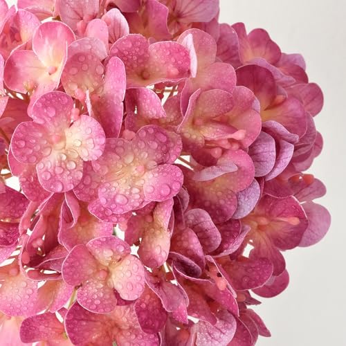 ZYTUYO 20" Real Touch Magenta Hydrangeas 4PCS Artificial Hydrangeas Latex Faux Flowers with Long Stem for Spring Living Room Home Table Centerpiece Kitchen Wedding Party Xmas Floral Decoration - color: Magenta
