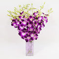 Athena’s Garden Fresh Cut Orchids Purple 10 Stems Sonia Dendrobium Orchids Flowers with Vase and Rocks - size: 10 Stems with Vase