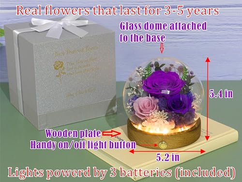 Valley of Rain & Forest Long-Lasting Real Flowers, Unique Floral Gift for You to Send Love for All Occasions, for Indoor Decoration (Dark Purple & Pink Roses Arrangement) - color: Dark Purple & Pink Roses Arrangement