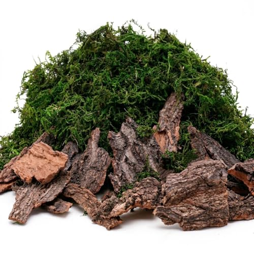 BYHER Fake Moss for Crafts, Assorted Treebark Fairy Garden Accessories Green Moss for Decorating, Tree Bark for Crafts, Terrarium, Floral Arrangements (Forest Green)