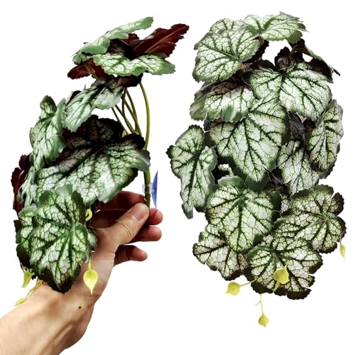Woyrise Reptile Plants, Terrarium Hanging Plants Vines for Reptile Tank, Amphibian Habitat Leaves Decor with Suction Cups for Bearded Dragon Lizard Snake Gecko Frog Hermit Crab - 2Pack Green Heuchera - color: Heuchera