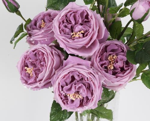 Real Touch Purple Austin Roses Peonies Artificial Flowers 4 Bouquets Latex Fake Peonies with Long Stem Realistic Faux Peonies for Wedding Party Home Table Centerpieces Decor (Deep Purple) - color: Deep Purple