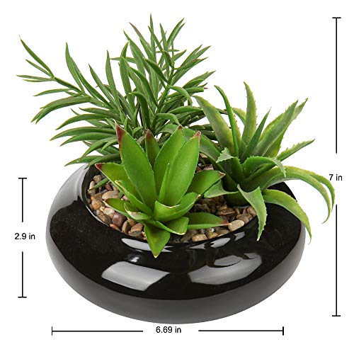Hollyone Large Artificial Succulents Plants Faux Succulents in Pots Fake Succulent Potted Plants with Black Ceramic Pot for Home Decor Office Desk Bathroom Living Room Indoor & Outdoor Decorations - color: 1pack - Black Ceramic
