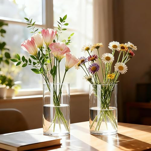 12pcs Thick Glass Cylinder Vase 6 Inch – Clear Glass Flower Vase & Floating Candle Holders for Centerpieces,Cylinder Vases Bulk Weighted Base for Wedding, Home & Dining Table Décor Gift - size: Smooth-12PCS