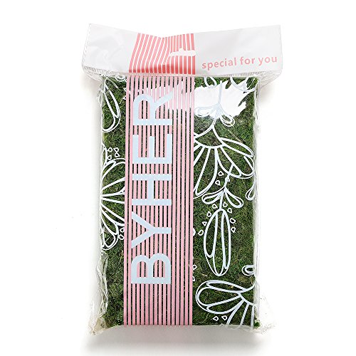 Byher 92926 Preserved Forest Moss, Fresh Green (2OZ)