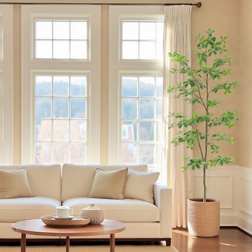 Bellacat Faux Black Olive Tree 7ft, Tall Faux Trees Indoor with Natural Trunk and Realistic Leaves. 7 Feet(84in) Artificial Tree for Home Office Décor. - style: 7ft Black Olive Tree