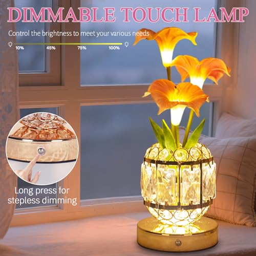 Flower Table Lamp, 3-Color Dimmable Artificial Flowers Night Light, Rechargeable Cordless Small Desk Lamp, Morning Glory with Crystal Vase for Party Date Home Decoration (Pink - Morning Glory) - color: Pink - Morning Glory
