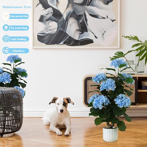 31" Large Artificial Blue Hydrangea Floor Plant, Realistic Faux Silk Floral Arrangement in Black Pot, UV Resistant Tall Outdoor Decorative Flowers for Porch, Patio, Office & Home Entrance - color: Blue