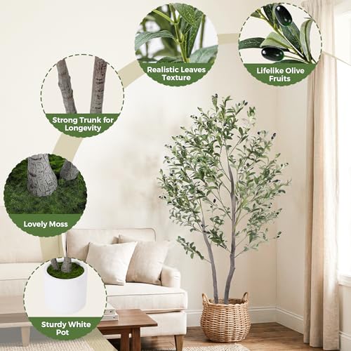 Jocoevol Olive Tree Artificial Indoor 5FT，Tall Faux Olive Tree with White Planter，Realistic Artificial Olive Tree Indoor with Natural Trunk and Lifelike Fruits for Home Office Living Room - size: 5ft