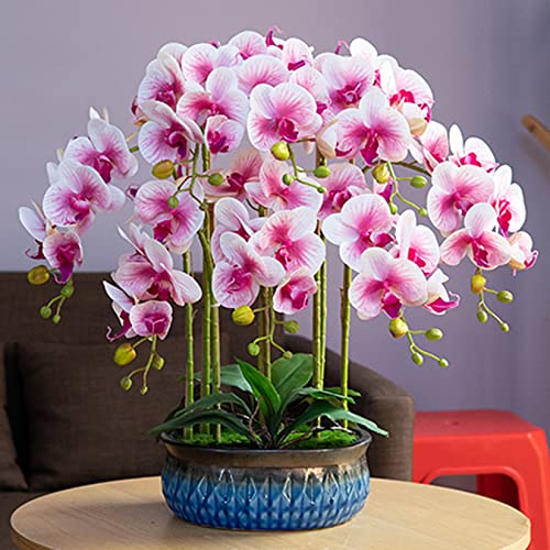 HinyoCo 5 Pcs Artificial Orchid Flowers and 4 Bundles Leaves, Artificial Phalaenopsis Flowers 32 Inch Stem Plants for Home Wedding Decoration (White Flower Purple Core) - color: White Flower Purple Core