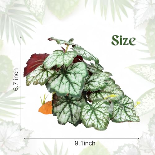 Reptile Plants for Terrarium, Amphibian Habitat Decor Plant, Bearded Dragon Tank Decorations, Artificial Plants for Gecko Lizard Chameleon Tortoise Ball Python Snake with Base - Fake Saxifrage - color: Fake Saxifrage