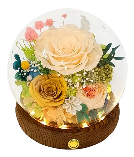 Valley of Rain & Forest Long-Lasting Real Flowers, Unique Floral Gift for You to Send Love for All Occasions, for Indoor Decoration (Champagne & Yellow Roses Arrangement) - color: Champagne Rose, Yellow Rose, Yellow Austin Rose