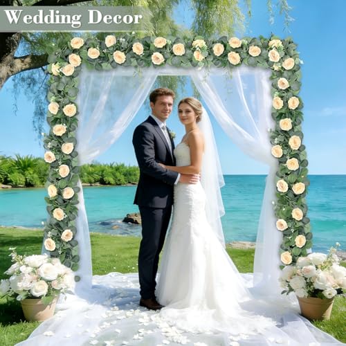 2 Pack Spring Artificial Eucalyptus Flower Garland with Champagne Roses, 13FT Fake Flower Greenery Floral Vines Green Garland for Wedding Arch Table Runner Backdrop Mantle Home Decorations (Champagne) - color: Champagne & Green (2p)